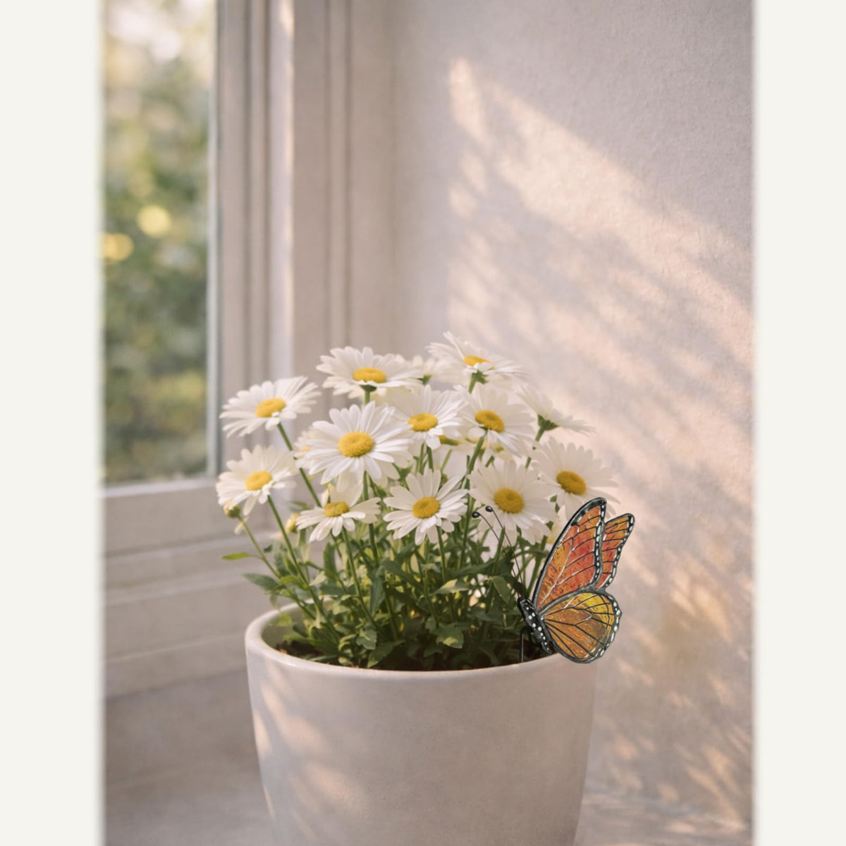Nuvos AEON Monarch plant pot display on windowsill.