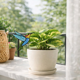 Nuvos AEON sunlit color display enhances pots with shifting hues
