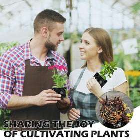 NVAAV kit suited for indoor and outdoor plant propagation