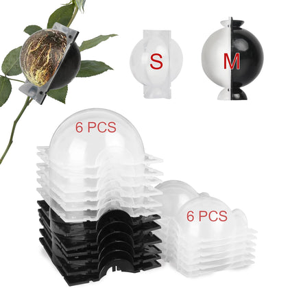 NVAAV Tree Root Growing Box full kit for easy home propagation