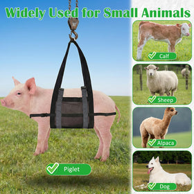 NVAAV breathable mesh keeps animals comfortable during handling.