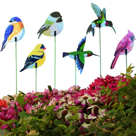 NWAMTFSYXW cardinal bird stake adds vibrant color to the garden
