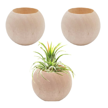 Nwsrayu wood air plant holder 3pc set for stylish desk display of air plants