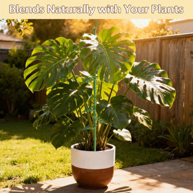 Nyobely indoor-outdoor plant stake solution suitable for climbers and creeping plants.