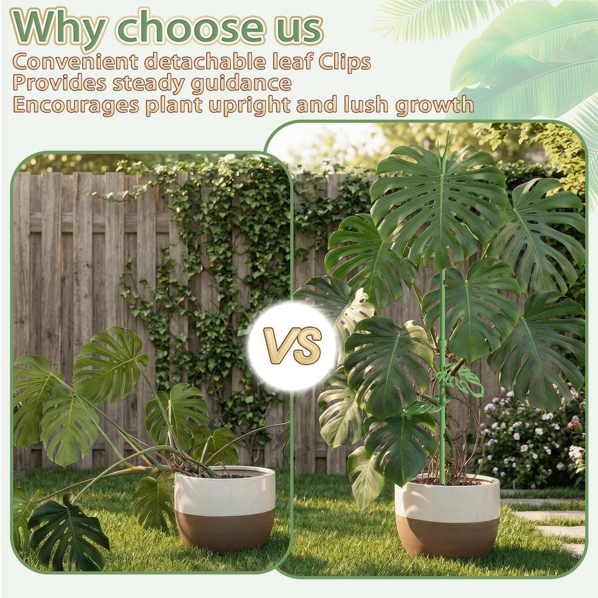 Nyobely multi-plant design supports monstera, pothos, tomatoes and more.