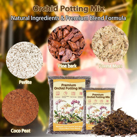 Nyobely Orchid Potting Mix perlite and pine bark closeup shows drainage channels for healthy roots.