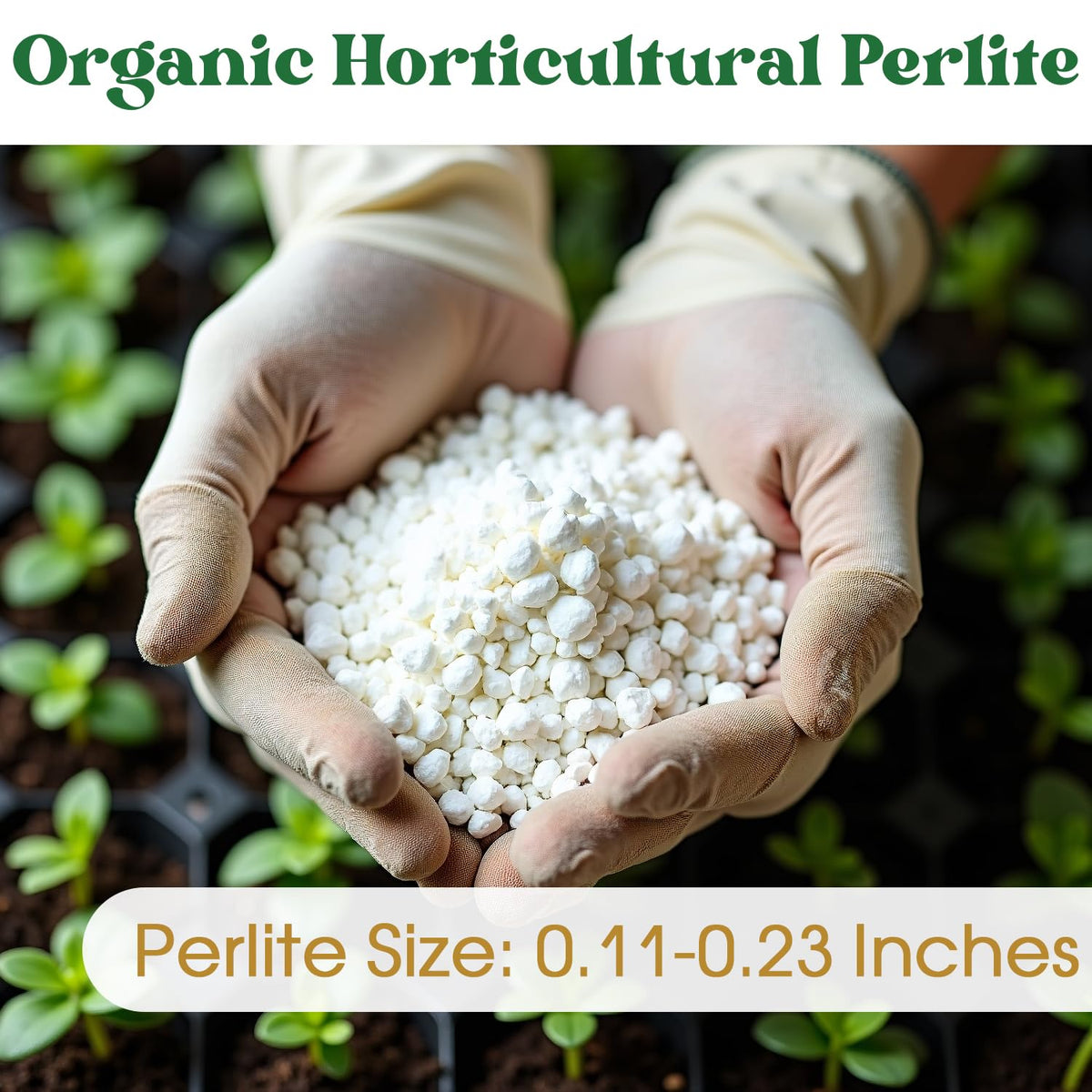 Clean and impurity-free Nyobely perlite creates a reliable soil environment