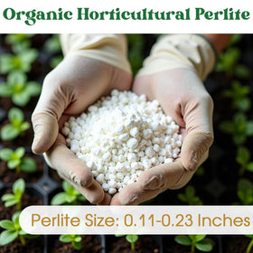 Clean and impurity-free Nyobely perlite creates a reliable soil environment
