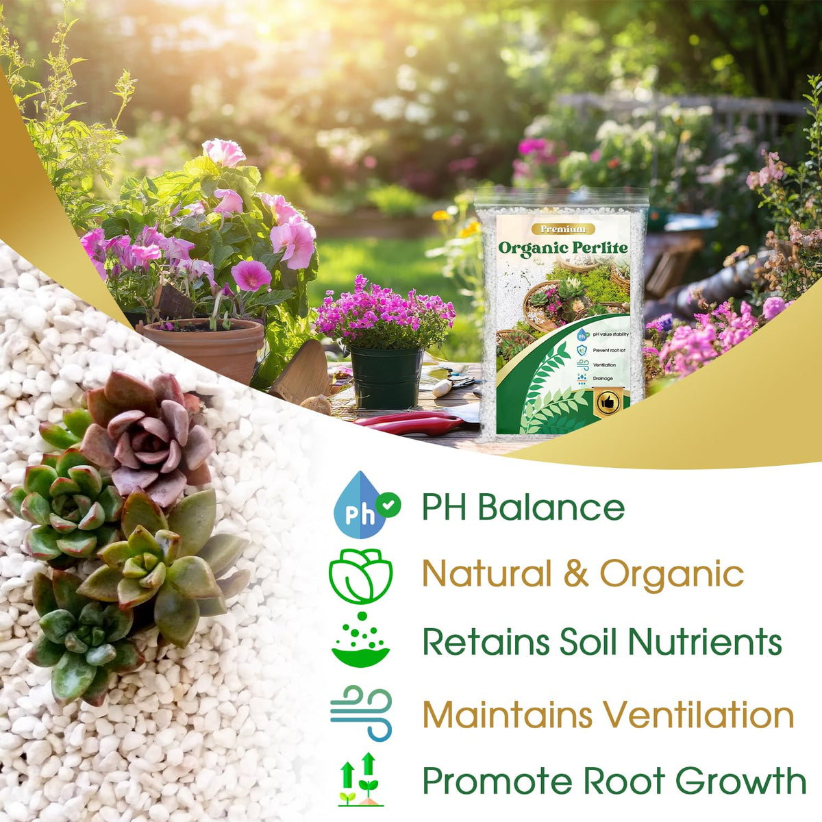Nyobely perlite texture demonstrates moisture retention and gradual release for plants