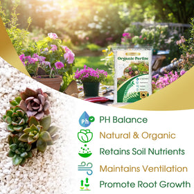 Nyobely perlite texture demonstrates moisture retention and gradual release for plants