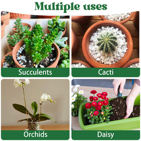 Nyobely perlite supports a variety of plants with light, airy potting mixes