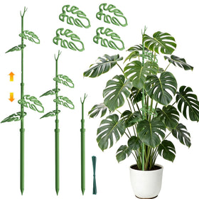 Nyobely telescoping plant stake extended to support a tall monstera.
