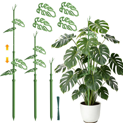 Nyobely telescoping plant stake extended to support a tall monstera.
