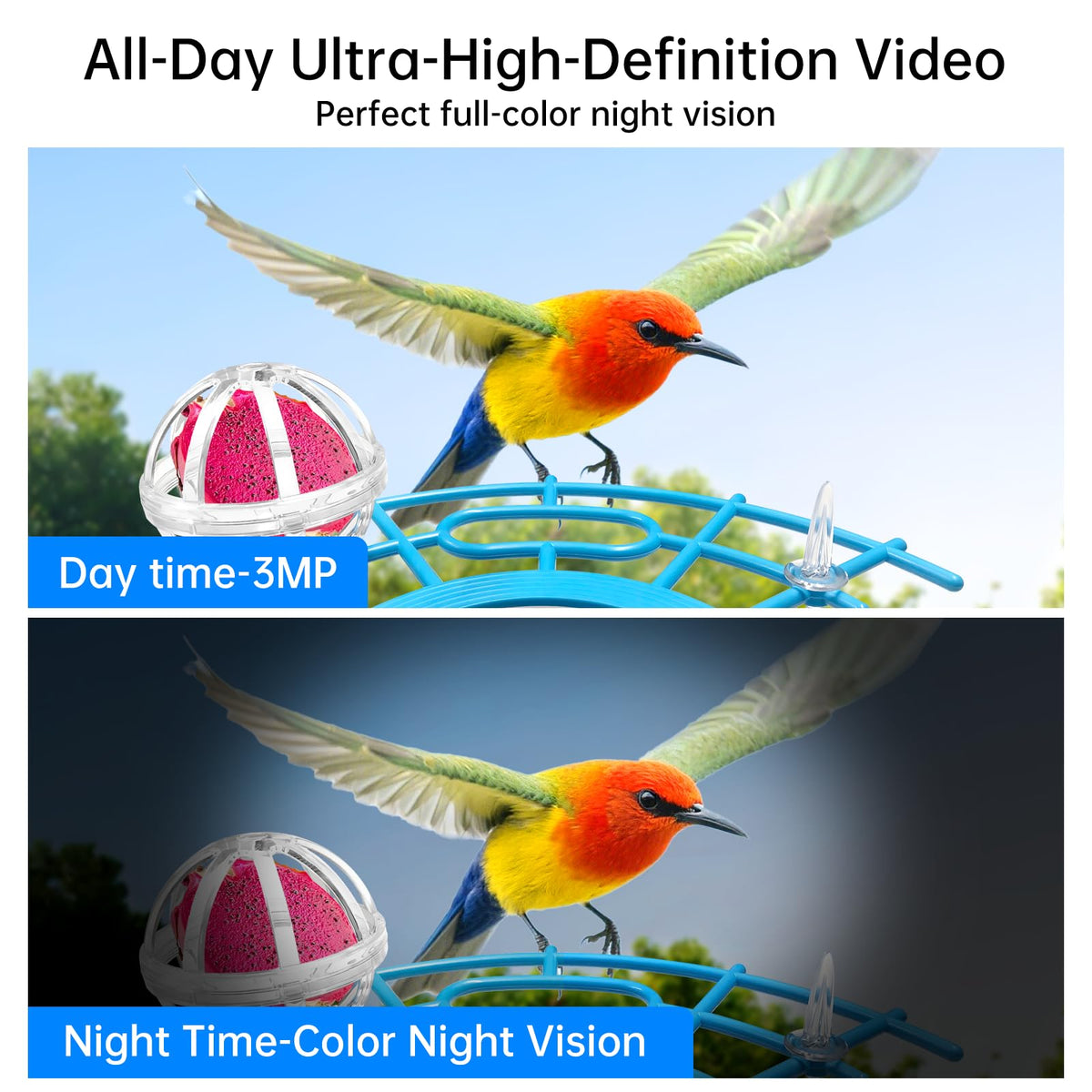 NyteElf Bird Feeder 2K lens wide-angle captures every perched bird