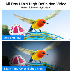 NyteElf Bird Feeder 2K lens wide-angle captures every perched bird