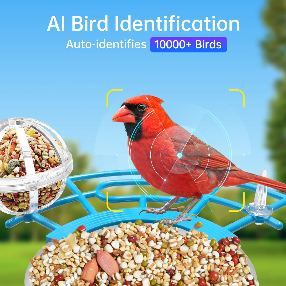 NyteElf Bird Feeder camera night vision preserves color detail after dark