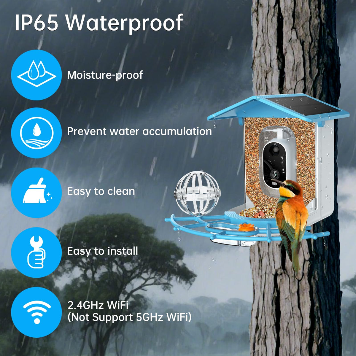 NyteElf Bird Feeder cloud and SD backup keeps video securely stored