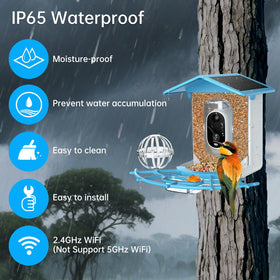 NyteElf Bird Feeder cloud and SD backup keeps video securely stored