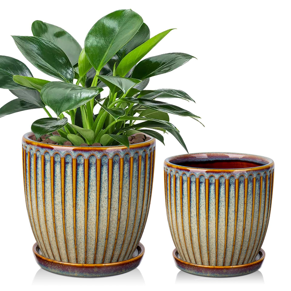 Oairse brown ceramic pot with 4.9-inch opening and drainage for healthy roots.