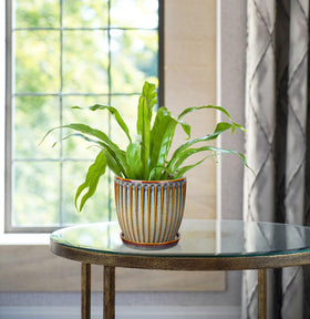 Oairse brown ceramic pot with 5.7-inch opening for larger plants and easy watering.