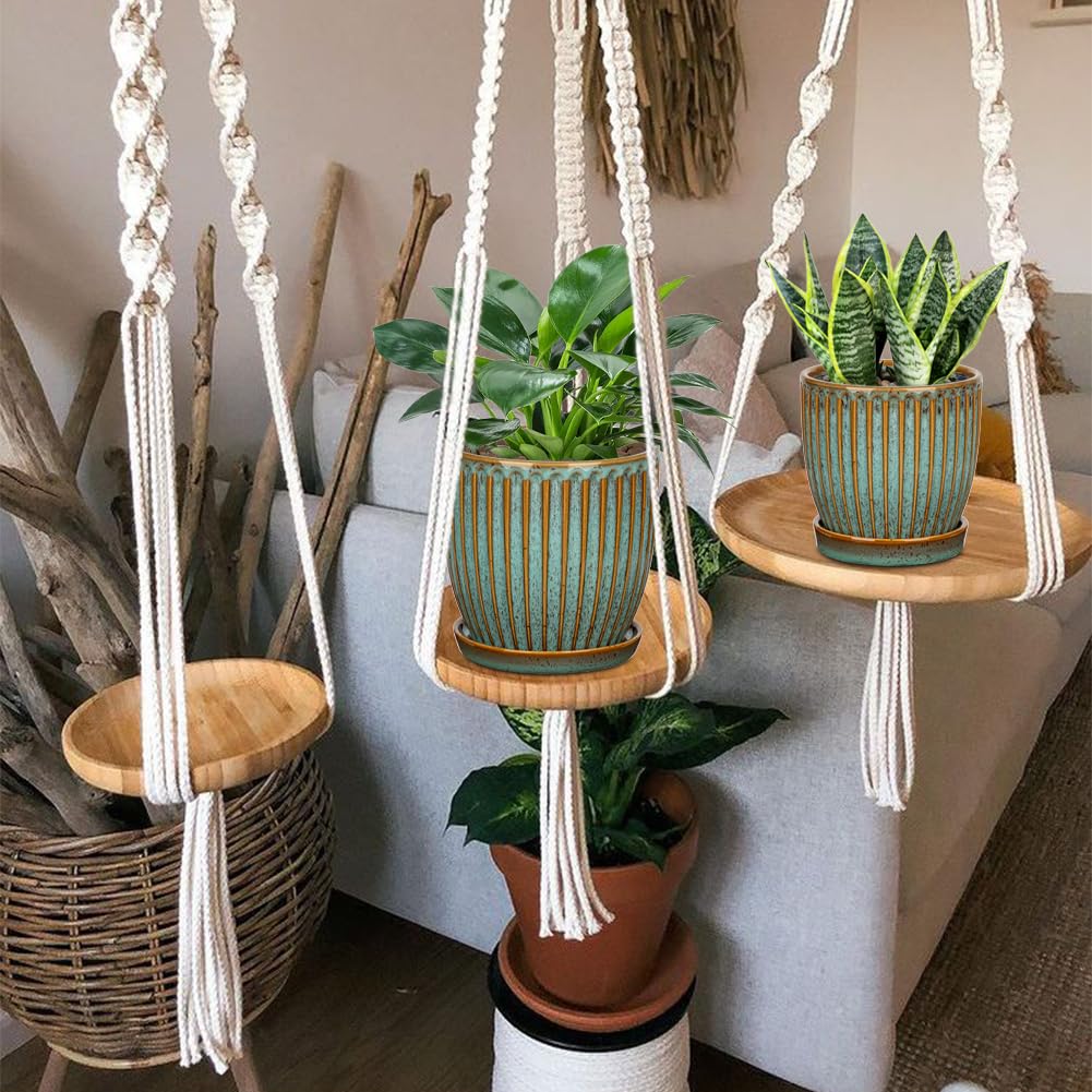 Oairse large ceramic pot fits medium plants like herbs and orchids.