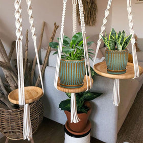 Oairse large ceramic pot fits medium plants like herbs and orchids.