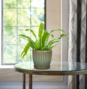 Oairse small ceramic pot suitable for succulents and tiny plants.