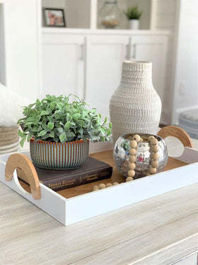 Oairse sage-green pot ideal for succulents, orchids, and herbs