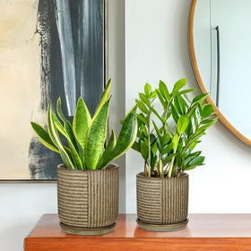 Oairse gift-ready ceramic pot set suited for housewarmings.