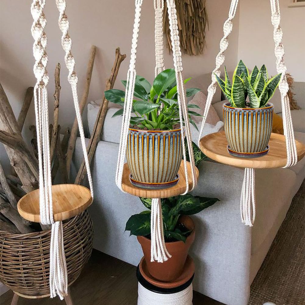 Oairse indoor-outdoor planter set suitable for succulents, herbs, and greenery.