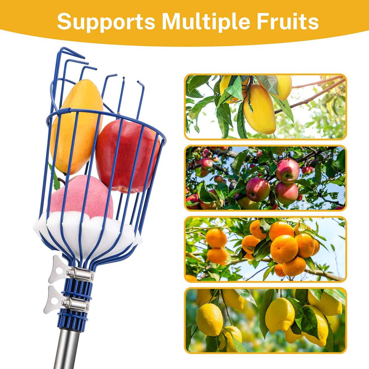 Oak Leaf Fruit Picker foam pad protects fruits from bruises.