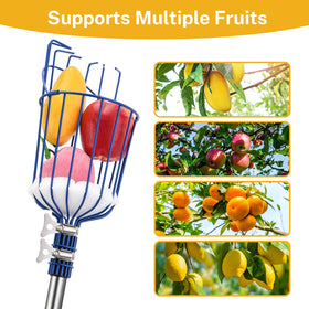 Oak Leaf Fruit Picker foam pad protects fruits from bruises.