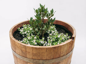 OAKENZ flexible-fit liner adapts to varying barrel shapes.