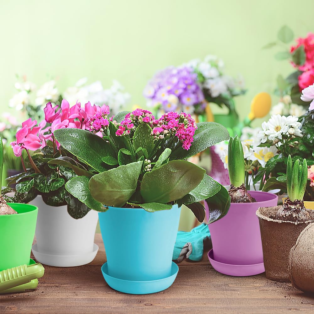 OALCQ pots with tray prevent water mess on surfaces.