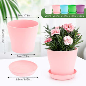 OALCQ five-color plastic pots ideal for colorful herb and succulent layouts.