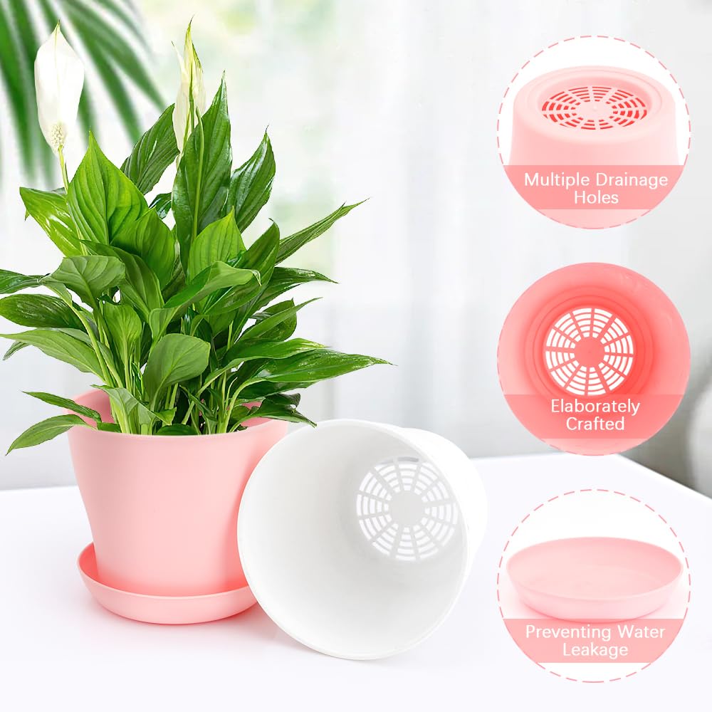 OALCQ indoor pots with drainage support healthy succulent growth.
