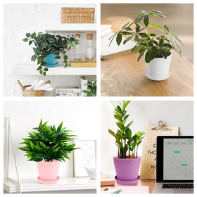 OALCQ 4-inch pots reshape by hand and reuse after washing.