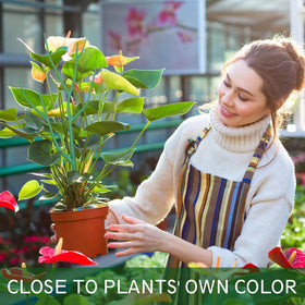 Obralitic green plant trellis system blends with foliage while guiding growth.