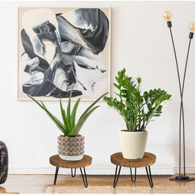 OBTAIN mid-century plant stand small adds timeless style to compact spaces.