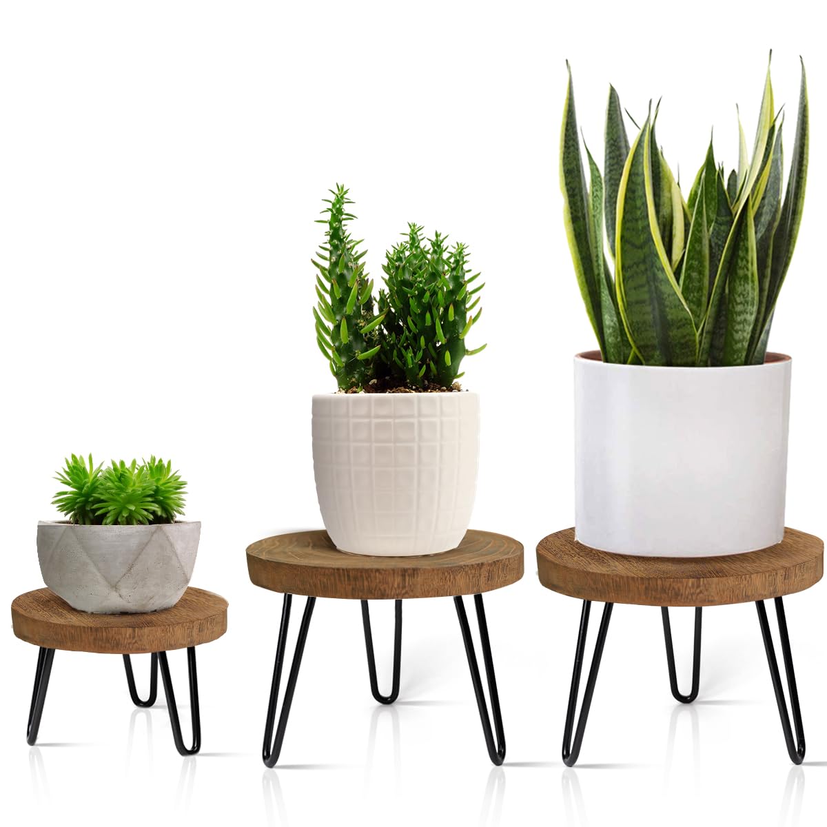 OBTAIN plant stand with wood-top surface for indoor and outdoor display, enhances plant presentation.