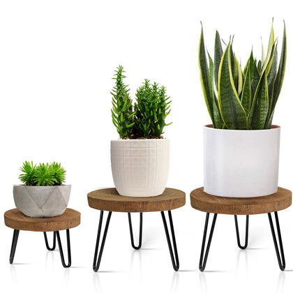 OBTAIN plant stand with wood-top surface for indoor and outdoor display, enhances plant presentation.