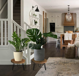 OBTAIN wooden plant holder with rattan accent, modern and lightweight.