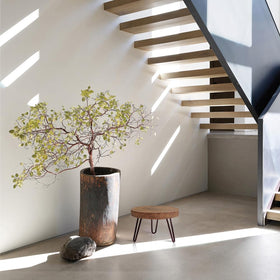 OBTAIN three-pack plant stands, three sizes for varied pot shapes.