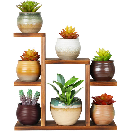 OcBuct 7-tier window sill stand, front view, showcasing an organized succulent display