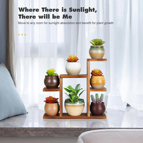 OcBuct compact desktop plant stand, demonstrates space efficiency in a small space