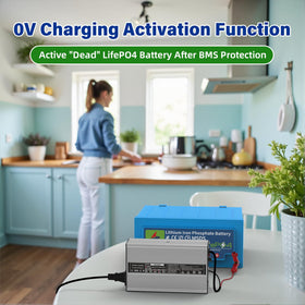 OCELL 58.4V 5A charger with LED indicators for status at a glance.