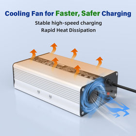 OCELL 58.4V 5A charger side ports for easy connections and quick setup.