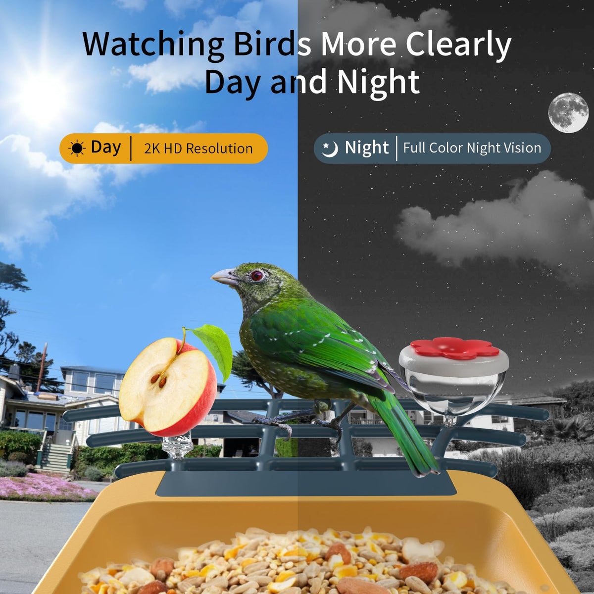 oddkont AI bird identification highlights species in real time
