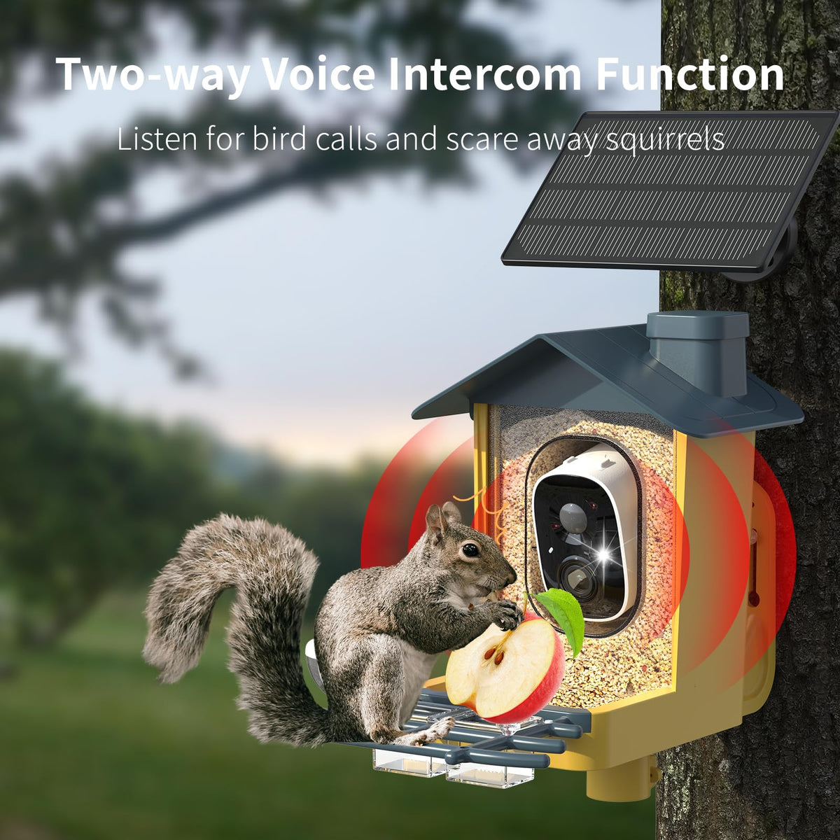 oddkont app-friendly setup delivers instant notifications and monitoring