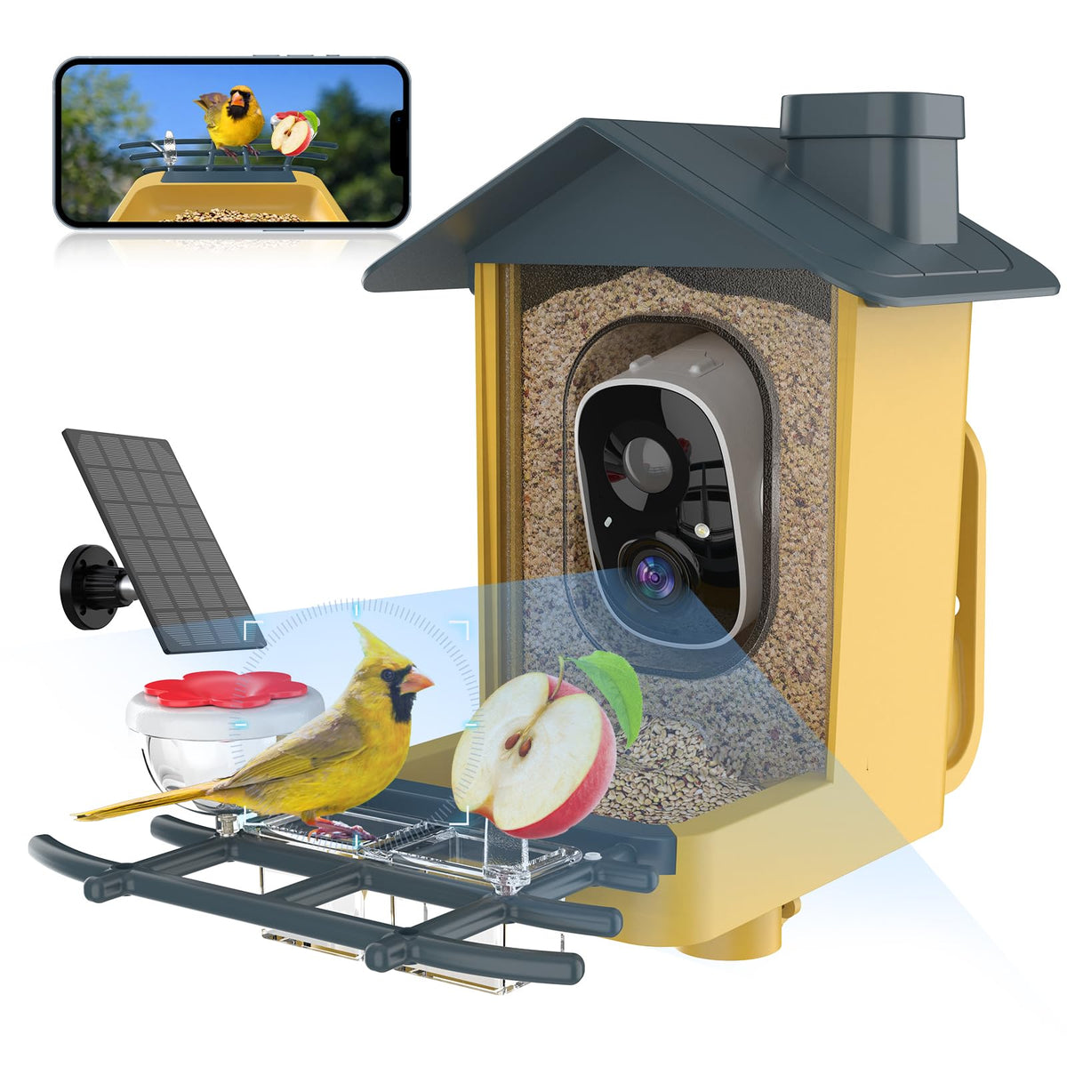 oddkont birdfeeder camera delivers clear 2K video of visiting birds